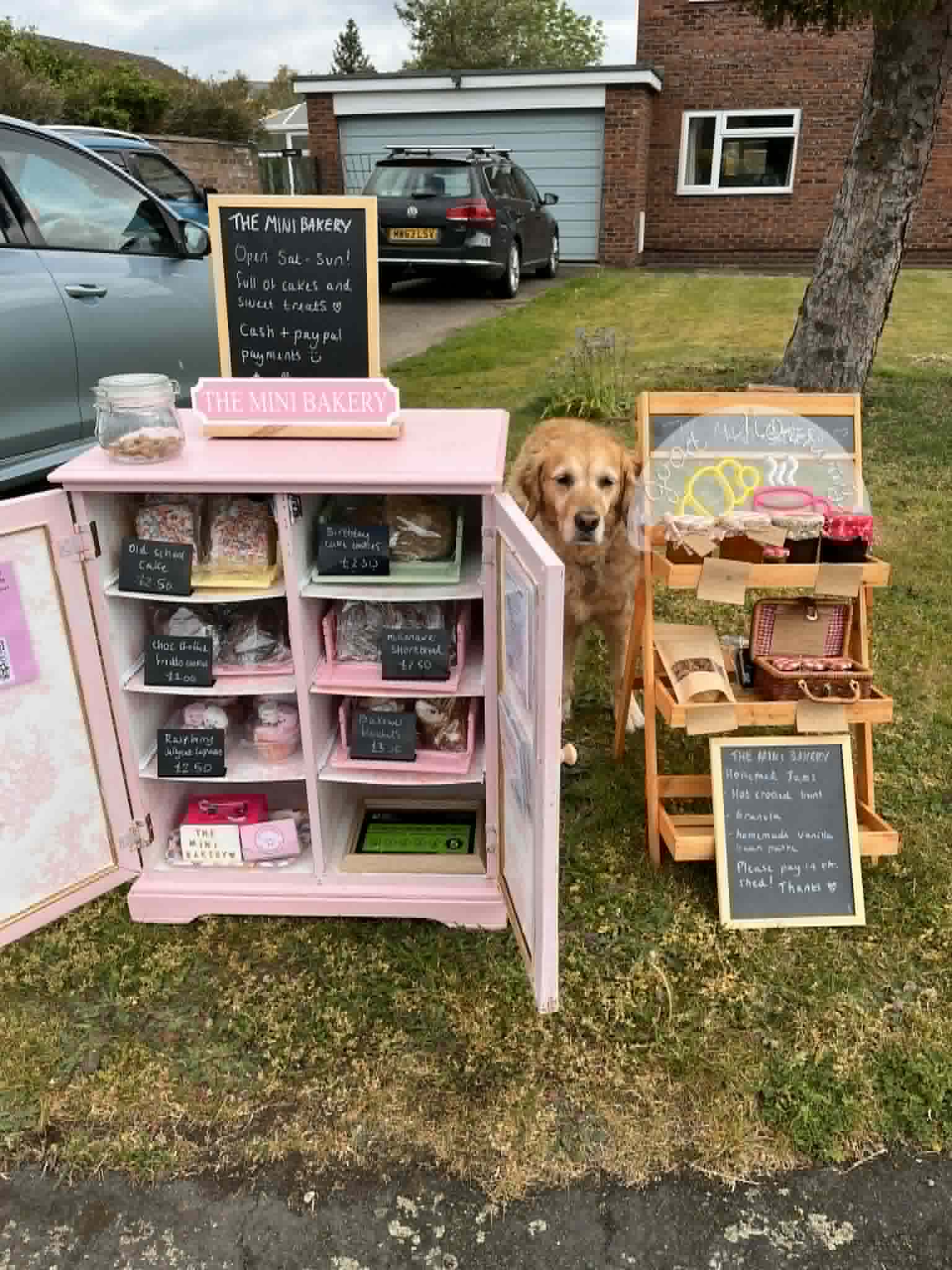 From Home Baking to a Thriving Cake Shed – The Story of The Mini Bakery