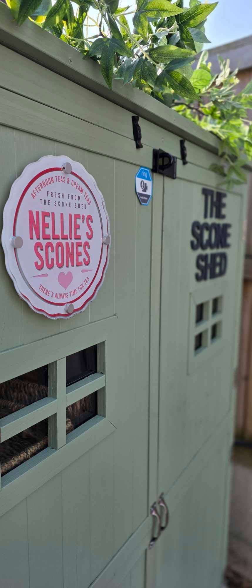 From Lockdown Baking to a Beloved Cake Shed