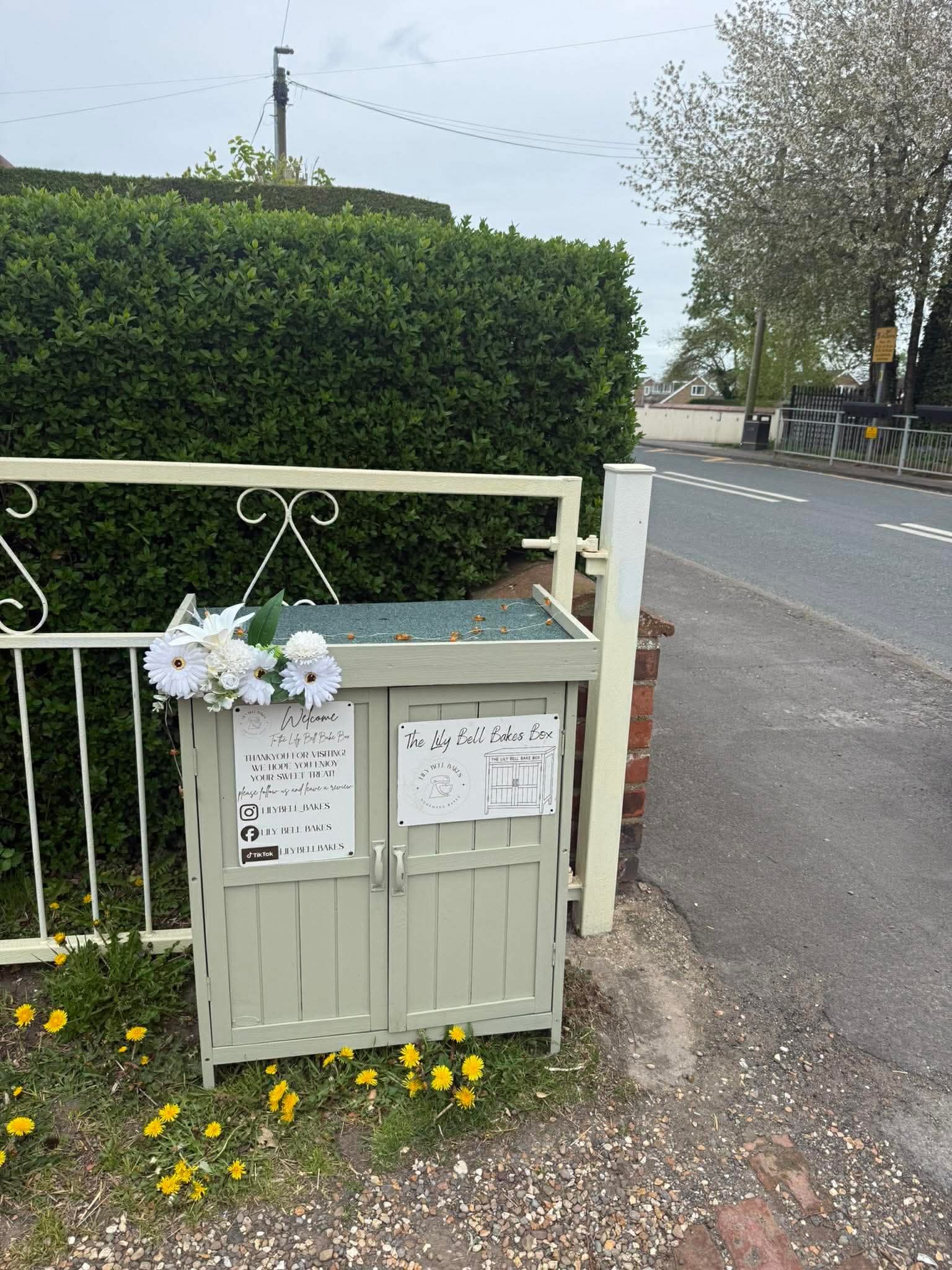 From Nana’s Kitchen to Three Cake Sheds: The Story of Lily Bell Bakes